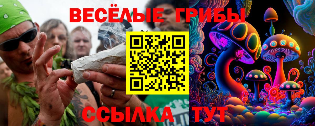 Псилоцибиновые грибы ЛСД  Вход с VPN  магазин  наркотиков  Кореновск 