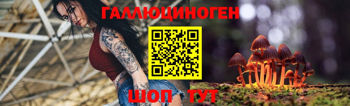 Галлюциногенные грибы Psilocybe Кореновск