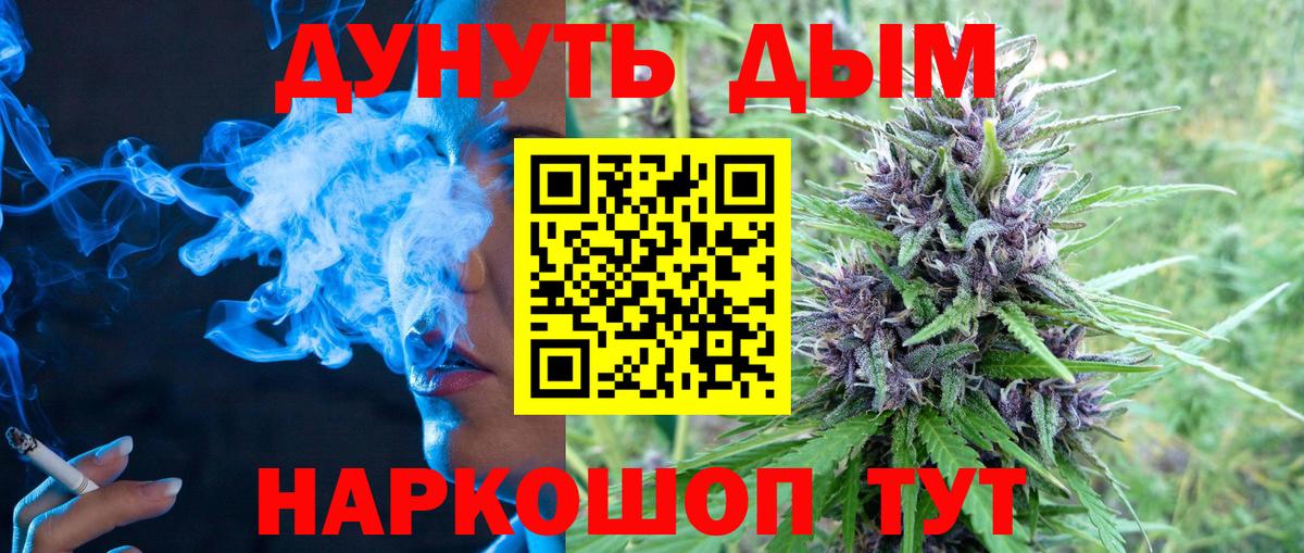 Бошки марихуана сатива Кореновск
